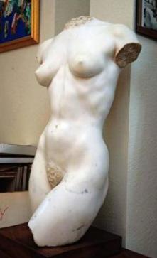 Torso
