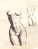 Design for Torso