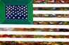 Flag 12