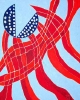 Flag 35