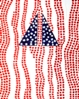 Flag 44