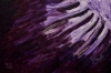 Improv 111