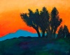 Joshua Trees