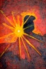 Sunburst 1