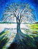 White Oak